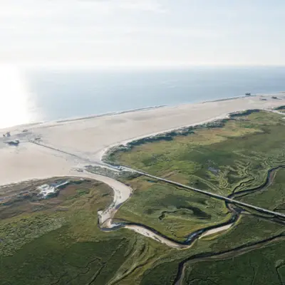 Die Küste von St. Peter-Ording von oben fotografiert, mit den Salzwiesen, dem Strand und der Nordsee.