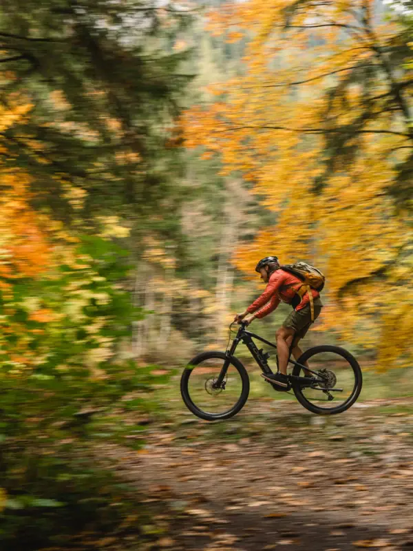 Eine Person fährt mit einem Fahrrad im Wald.