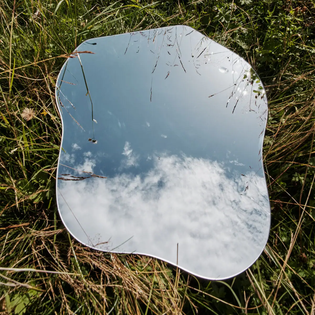 Ein Spiegel liegt im Gras und reflektiert den Himmel.