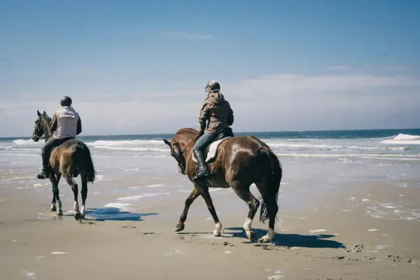 Zwei Personen reiten auf Pferden am Strand im Reitgebiet zwischen Dorf und Böhl.