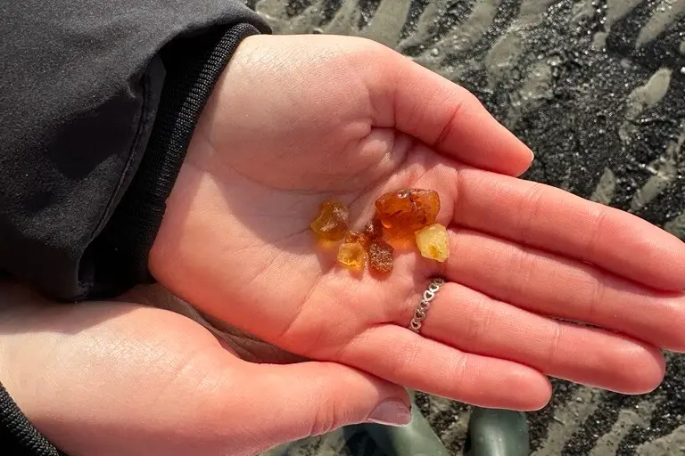 Bernsteine St. Peter-Ording Eine Person hält Bernsteinstücke in der Hand.