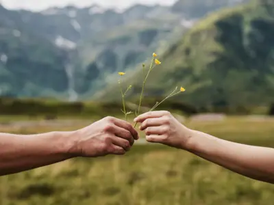 Natur bad Gastein Eine Hand reicht einer anderen eine Blume und Berge sind im Hintergrund zu sehen.
