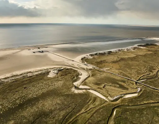Die Salzwiesen in St. Peter-Ording mit Wolken am Himmel und Küstenlinie.